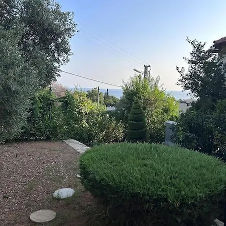 Sse Αλάνια